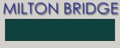 Эмаль горячая MILTON BRIDGE T 238 прозрачная Ягуар (зеленый), г