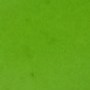 Эмаль С49 ярко-зеленая матовая светоотверждаемая MT MAKINA