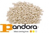 Лигатура PANDORA для желтого золота 3NL/EN (Ag-49,000%)