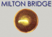 Эмаль горячая MILTON BRIDGE PT 214 пастельная Коричневый, г