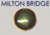 Эмаль горячая MILTON BRIDGE PT 218 пастельная Зеленый, г